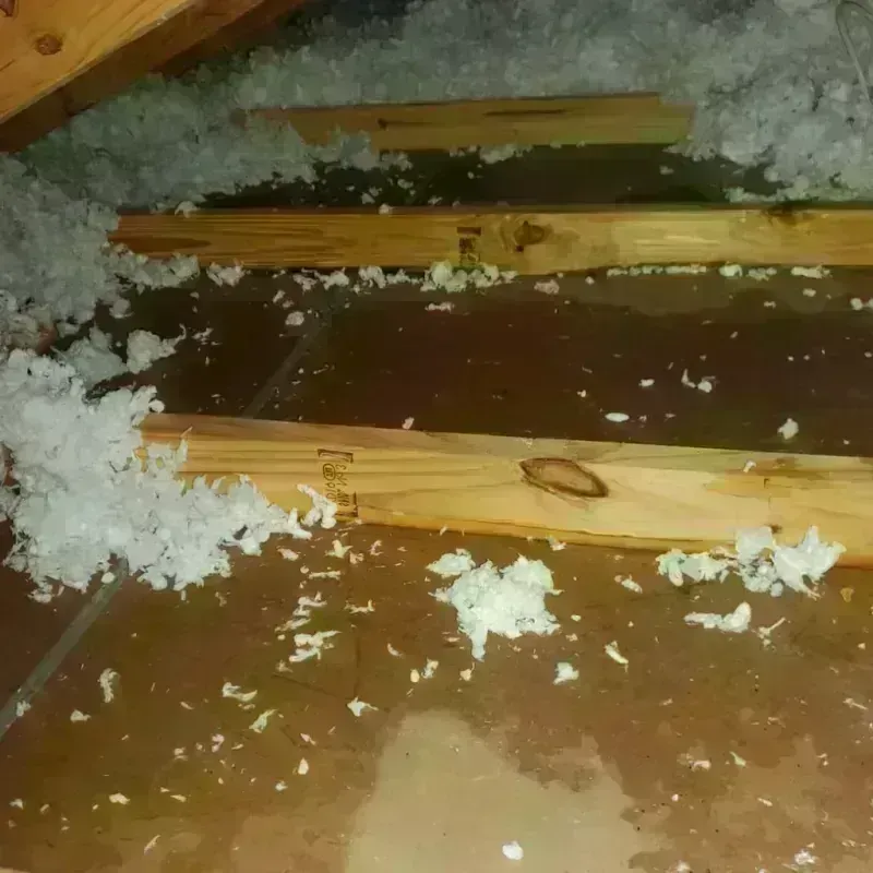 Attic Water Damage in Santa Rosa, CA