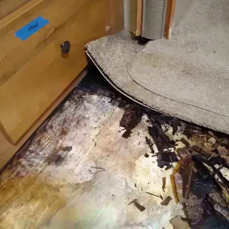 Wood Floor Water Damage in Santa Rosa, CA